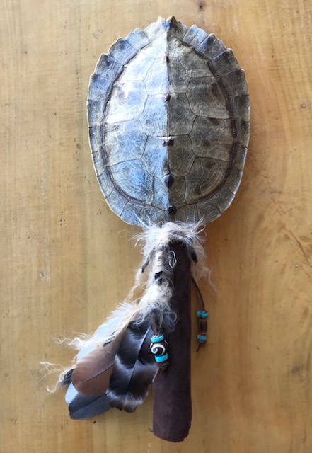 ceremonial turtle rattle